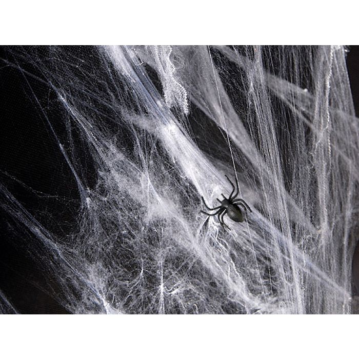 Wit spinnenweb met spinnen