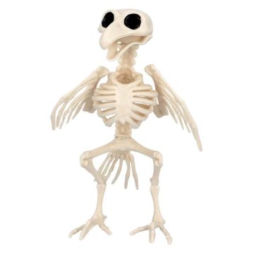 Vogelskelet decoratie - 16x14x18 cm