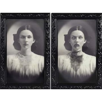 Engelachtig 3D Halloween portret met wisselend beeld 38x25 cm - Dame portret