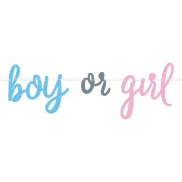 Gender reveal slinger jongen of meisje 2,13m 