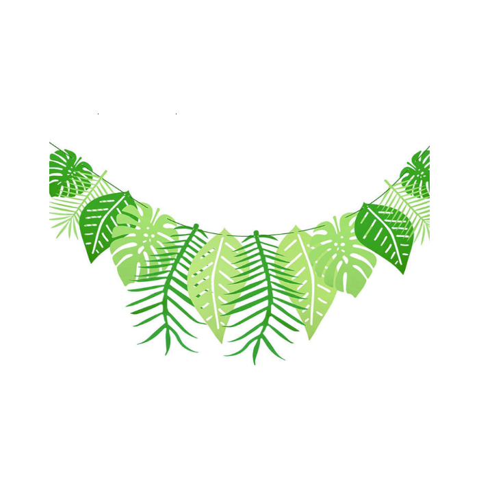 Monstera Slinger Bladeren