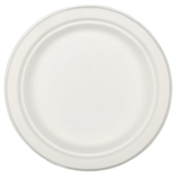 26 cm bord 20x biologisch afbreekbaar