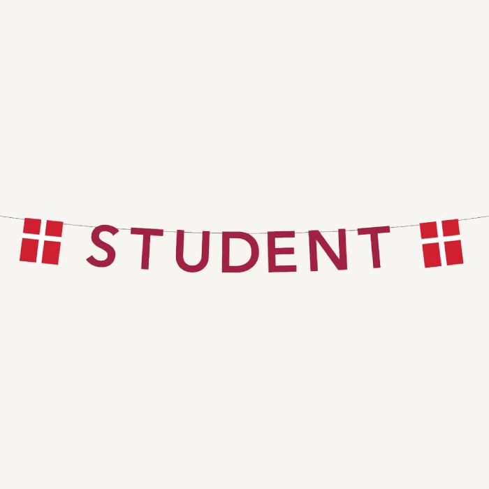 Rode studentenguirlande met vlag 0,27X4 m