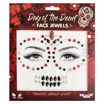 Gezichtsversieringen Day of the dead