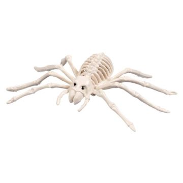 Spin skelet decoratie - 23x14 cm