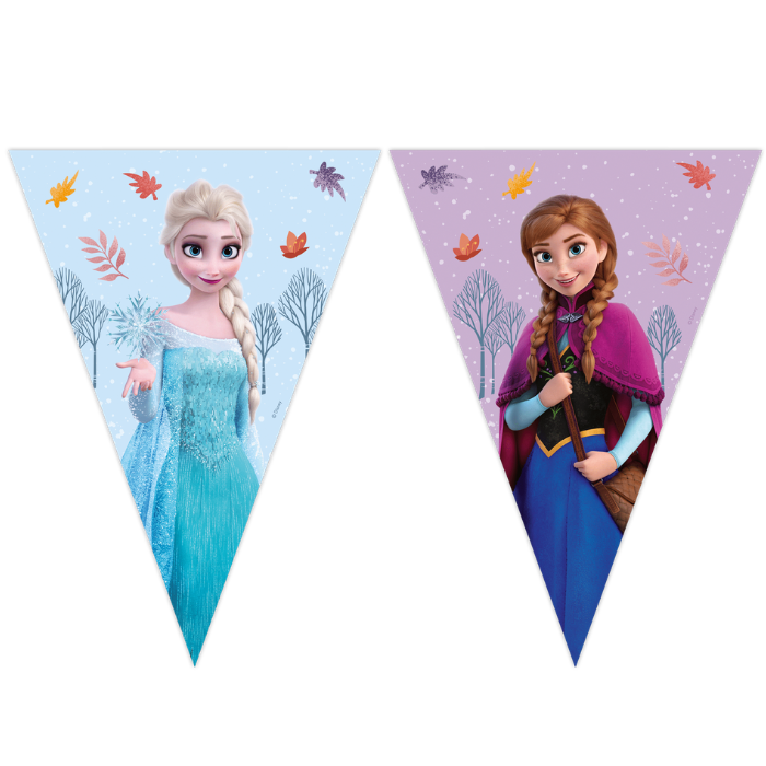 Frozen 2 vlaggenlijn met 9 vlaggen 