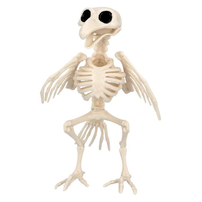 Vogelskelet decoratie - 16x14x18 cm