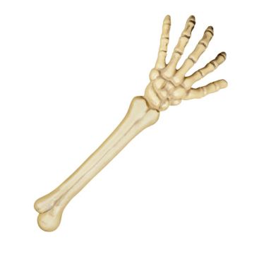 Halloween skelethand - 46 cm