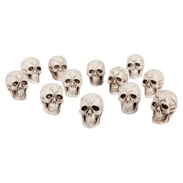 Halloween schedels - 12x