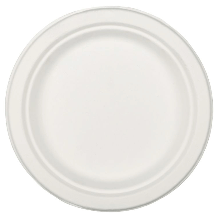 26 cm bord 20x biologisch afbreekbaar