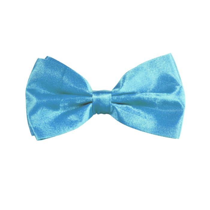 Vlinder turkoois blauw