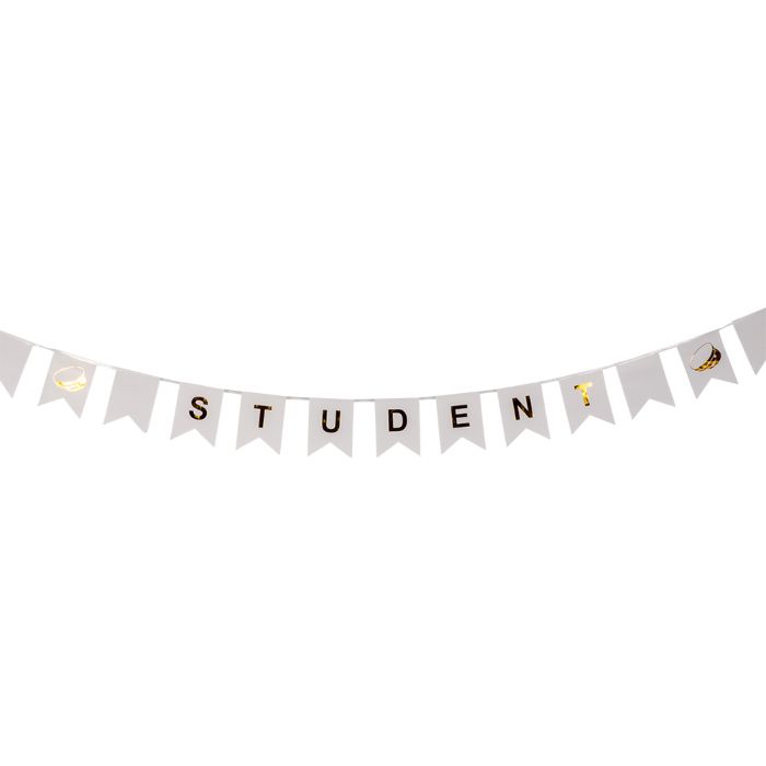 Studentenbanner slinger met vlaggen 3 m