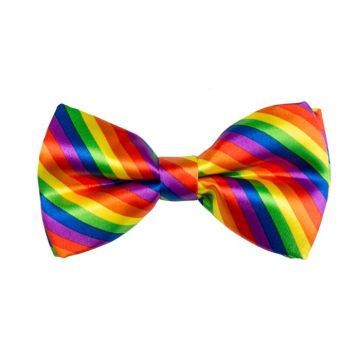 Regenboog gekleurde vlinderdas m. elastiek - Onesize