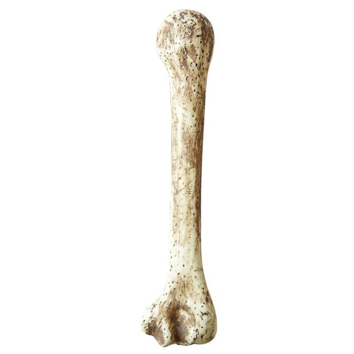 Holbewoner bot - 36 cm