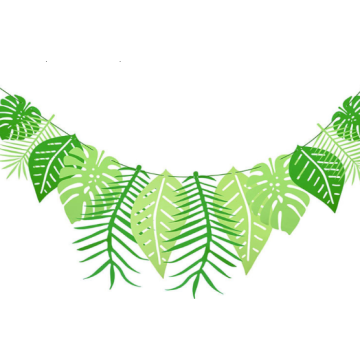 Monstera Slinger Bladeren
