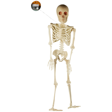Halloween-skelet met oplichtende ogen 91 cm
