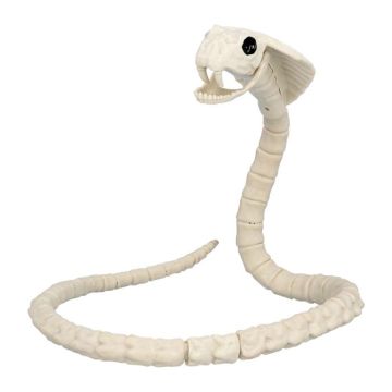 Slange skelet decoratie - 102x10 cm