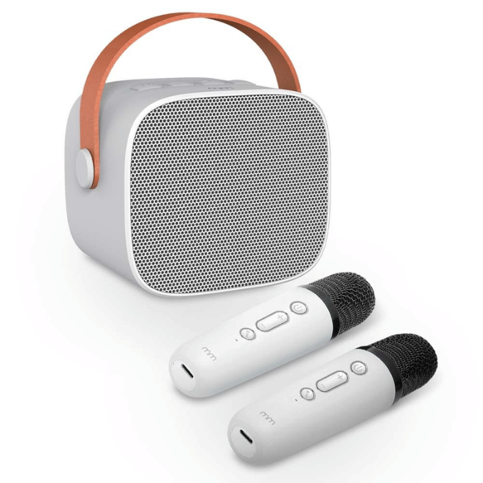 Karaoke to go inclusief 2 microfoons