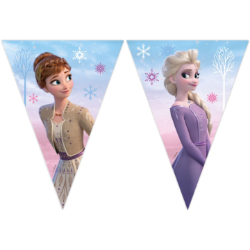 Frozen 2 vlaggenlijn met 9 vlaggen 