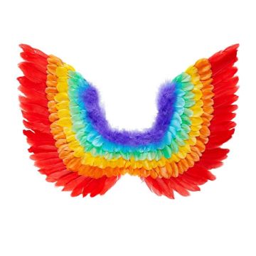 Vleugels Regenboog