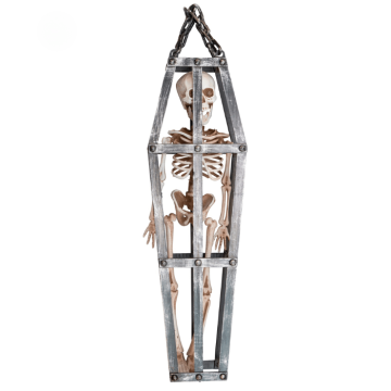 Skelet in kooi - 50 cm