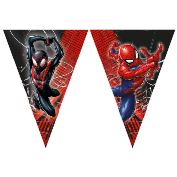 Spiderman World of Web vlaggenlijn 2,3 meter