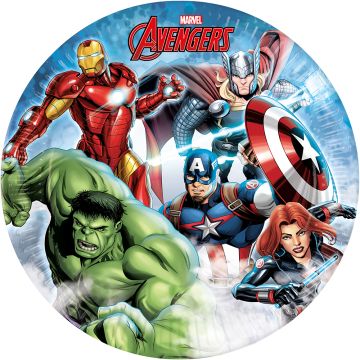 The avengers papieren borden 8x - 23 cm