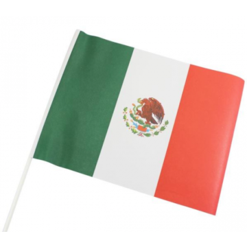 Mexicaanse Papieren Vlag 10x