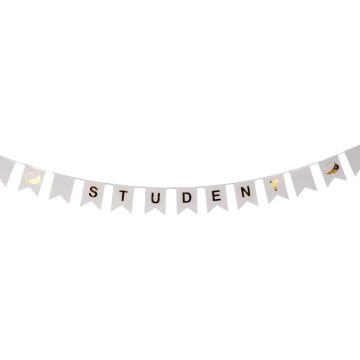 Studentenbanner slinger met vlaggen 3 m