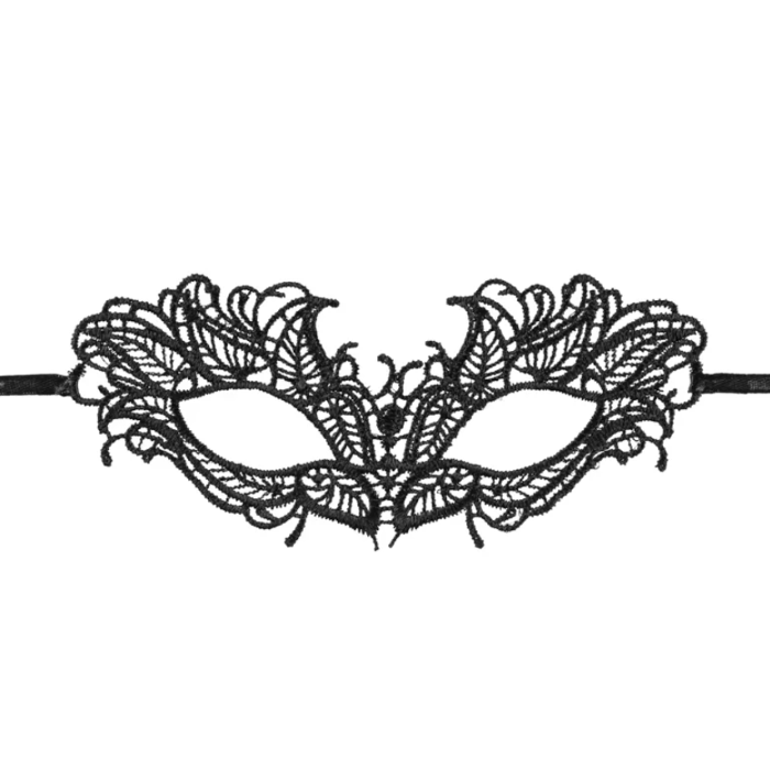 Zwart kanten carnaval oogmasker - 20 cm