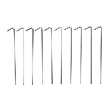 Tentpinnen 10x
