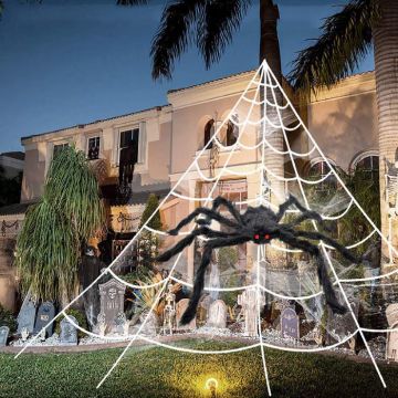 Wit spinnenweb met enorme zwarte spin - 5x4,8 m
