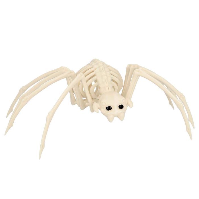 Spinachtig skelet decoratie - 35x19,5 cm