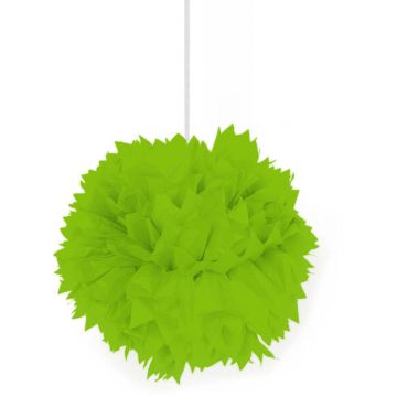 Lichtgroene pompom - 30 cm
