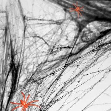 Zwart Spiderweb Met Spinnen