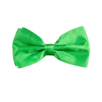 Groene vlinderstrik