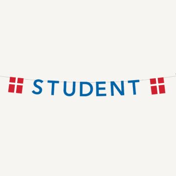 Blauwe studenten guirlande met vlaggen 0,27X4 m