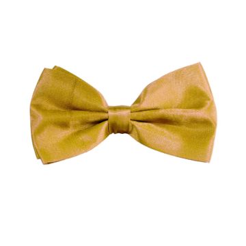 Gouden vlinderstrik