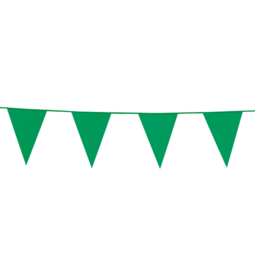 Groene Vlaggenlijn 20 x 30 cm - 10 m