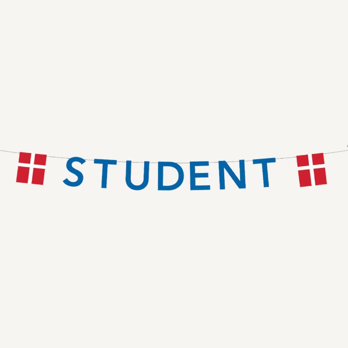 Blauwe studenten guirlande met vlaggen 0,27X4 m