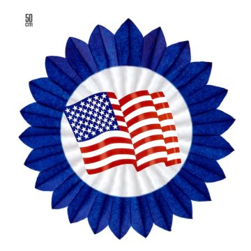 USA Blauwe Roze - 50 cm