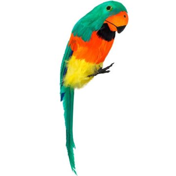 Groene papegaai met veren