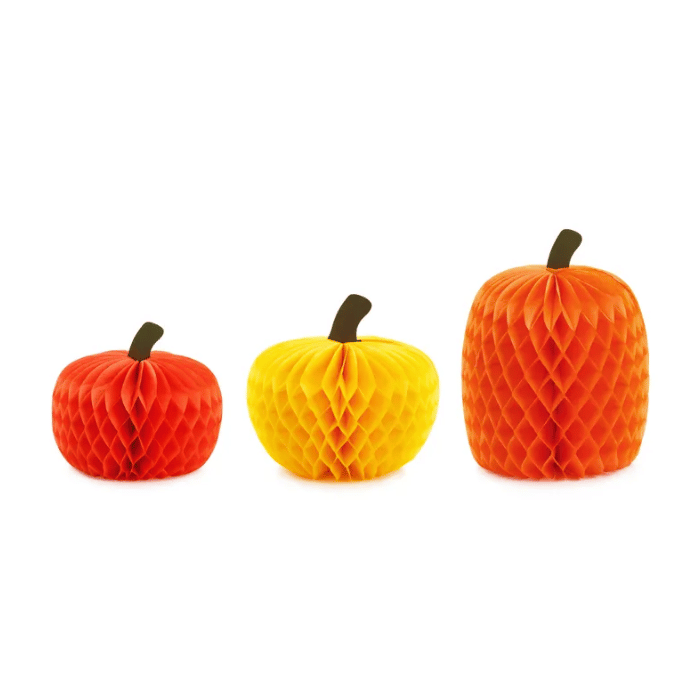 Pompoen honeycombs 3x - 18-30 cm