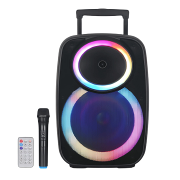 Luidspreker NDR-A55 40W - 39x30x61 cm