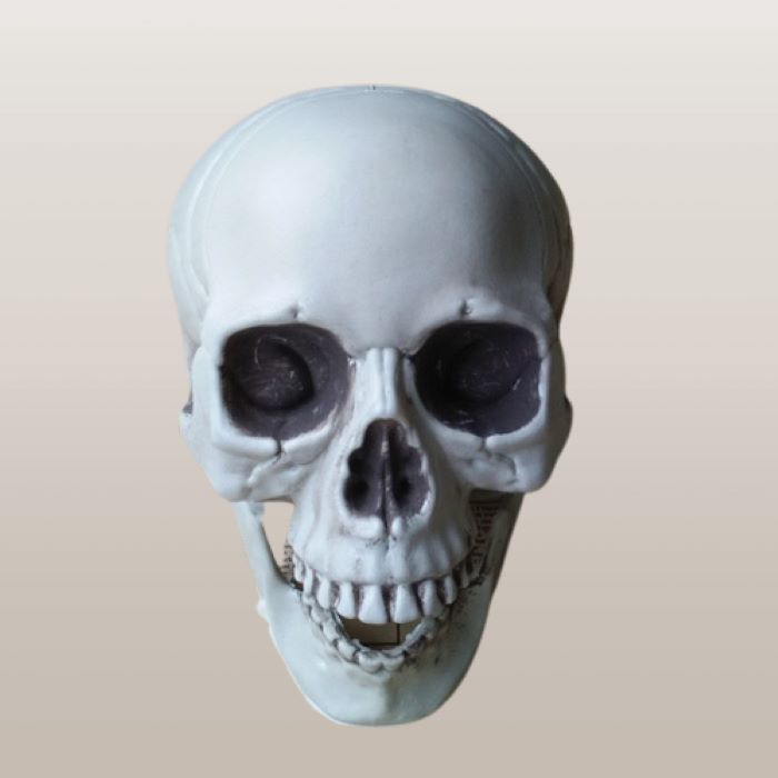 Schedel decoratie - 18 cm