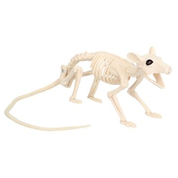Ratten skelet decoratie - 46x7x10 cm