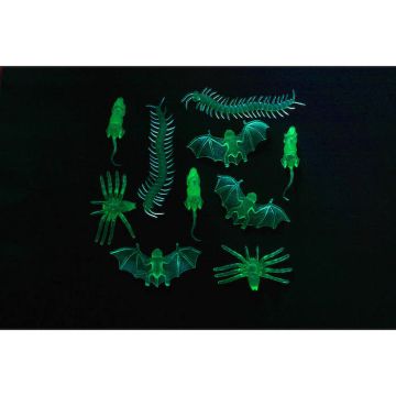 Zelfverlichtende insecten 10x 