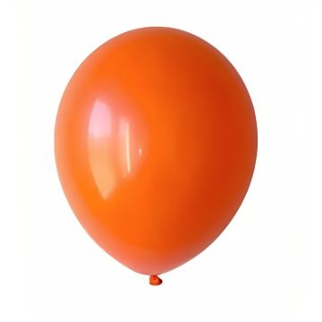 Ballonnen oranje 22 cm 10x