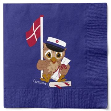 Servetten met uil en studentenmuts blauw student 20x Det Gamle Apotek