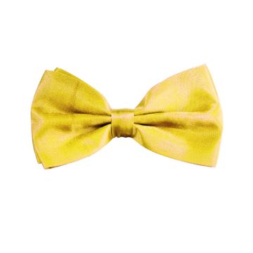 Butterfly neon geel